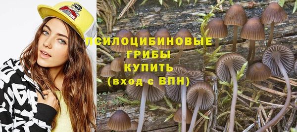 винт Бородино